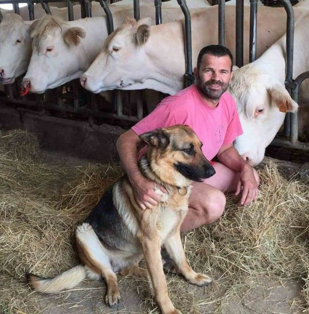 Stéphane Turbeaux avec ses vaches et son chien à la ferme des monnaies à Vallières dans le 41