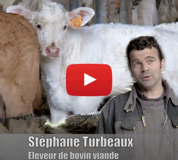 video 2018 ferme élevage turbeaux SARL